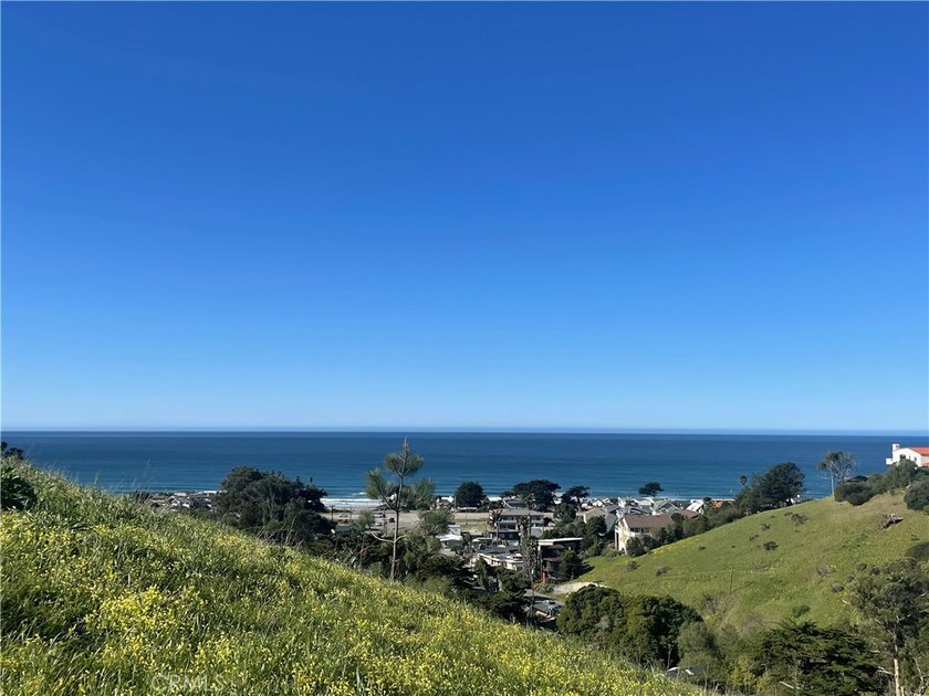 OCEAN VIEWS with SELLER FINANCING. Give the San Luis Obispo - Beach Lot for sale in Cayucos, California on Beachhouse.com