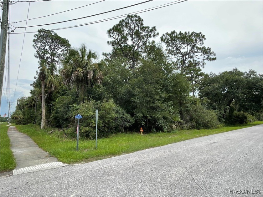 Prime commercial opportunity on a high visibility on Highway 40 - Beach Lot for sale in Inglis, Florida on Beachhouse.com
