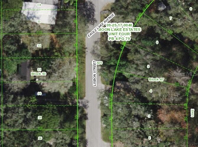 Great lot with privacy on lake paved road.  Single family zoning - Beach Lot for sale in New Port Richey, Florida on Beachhouse.com