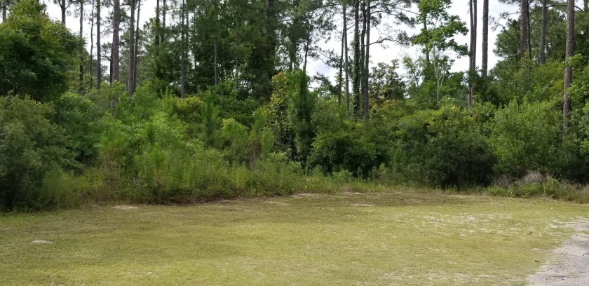 Excellent 100 x 101 Level Lot in South Walton. Lot Is Not Far - Beach Lot for sale in Santa Rosa Beach, Florida on Beachhouse.com