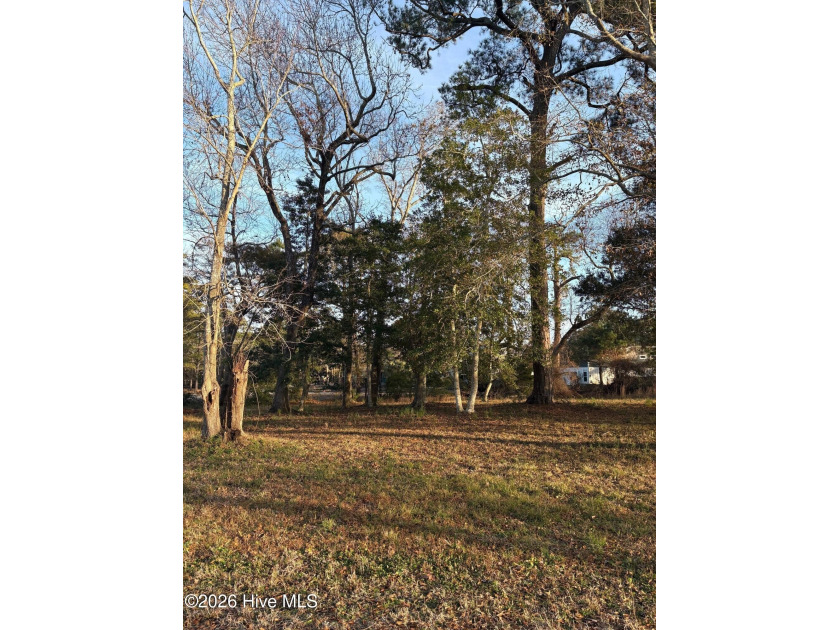 Discover this incredible vacant lot in Carolina Beach's Hidden - Beach Lot for sale in Carolina Beach, North Carolina on Beachhouse.com