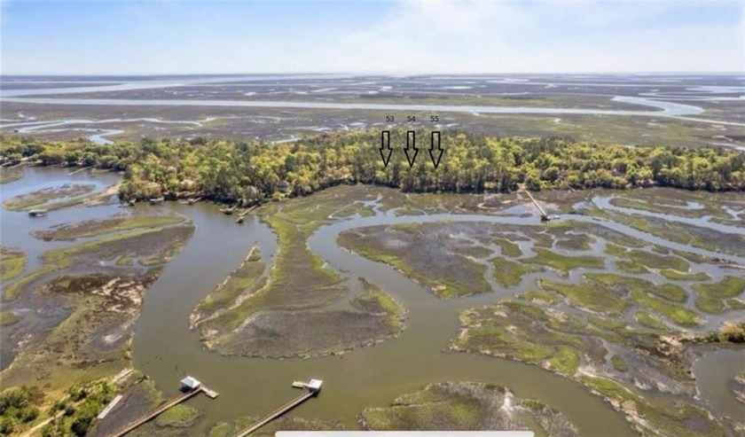 A rare and unique opportunity to own three marsh front adjacent - Beach Acreage for sale in Darien, Georgia on Beachhouse.com