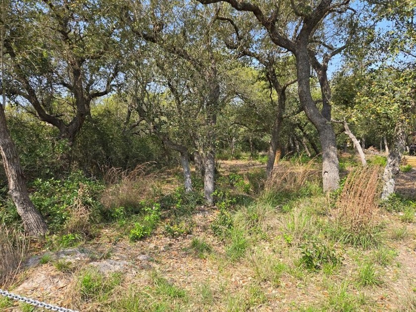 2 tree covered Lots that back up to the Tule Park Trail. New - Beach Lot for sale in Rockport, Texas on Beachhouse.com