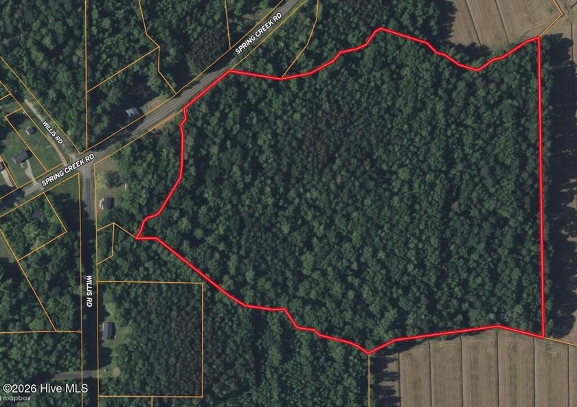 Discover 30 acres of beautiful timberland just outside Aurora - Beach Acreage for sale in Aurora, North Carolina on Beachhouse.com