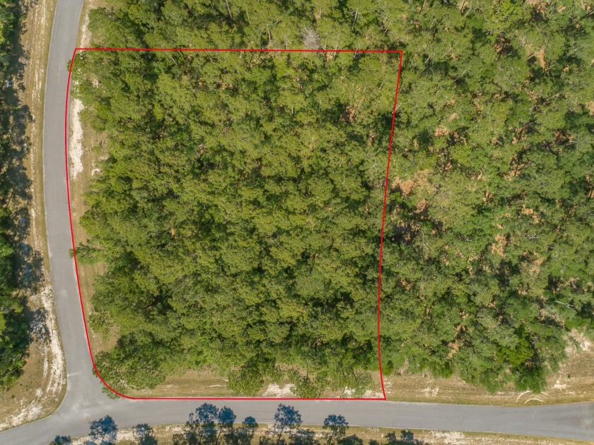 Beautiful lot surrounded by old growth oaks, ponds, and abundant - Beach Lot for sale in Ochlockonee Bay, Florida on Beachhouse.com