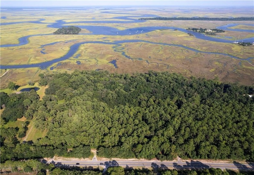 This is a tract which very few other tracts can match.  When one - Beach Acreage for sale in Darien, Georgia on Beachhouse.com