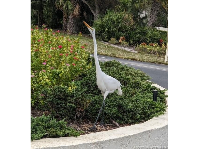 If you like watching nature out your porch window, this condo is - Beach Condo for sale in Stuart, Florida on Beachhouse.com