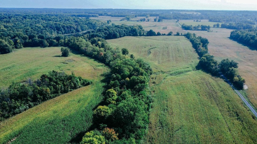 This 80-acre parcel is a rare gem, offering an ideal blend of - Beach Acreage for sale in Eau Claire, Michigan on Beachhouse.com