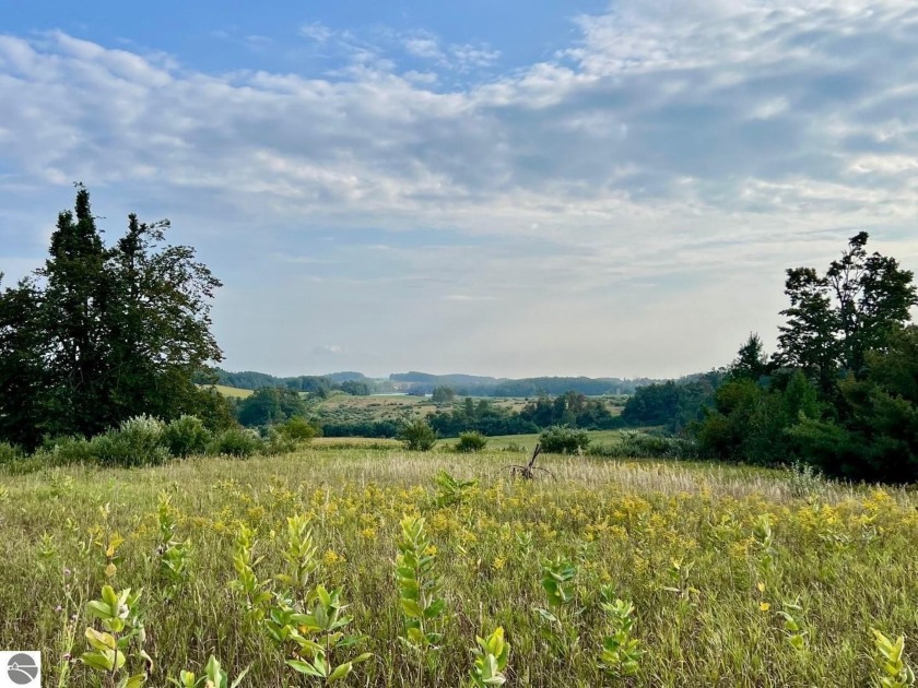 In the northwest corner of Antrim County this square 39 acre - Beach Acreage for sale in Ellsworth, Michigan on Beachhouse.com