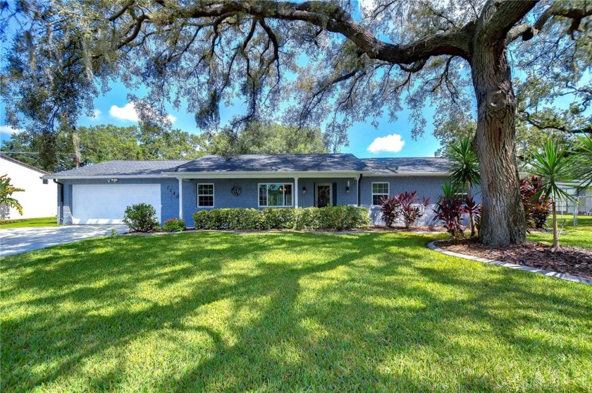 We found the one! Don't miss your chance to take advantage of - Beach Home for sale in Riverview, Florida on Beachhouse.com