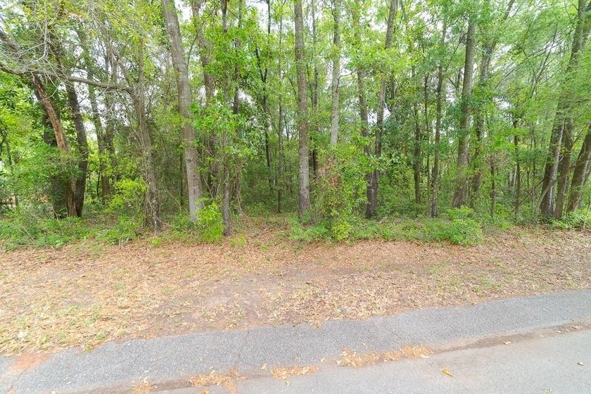 Beautiful building lot in Todd Acres West. This property - Beach Lot for sale in Mobile, Alabama on Beachhouse.com