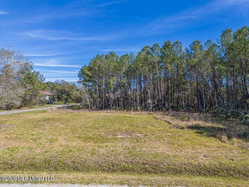 This large, beautiful cleared corner lot is perfectly situated - Beach Lot for sale in Bay Saint Louis, Mississippi on Beachhouse.com