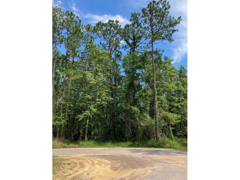 Perfect lot to build your home located at the end of a - Beach Lot for sale in Diamondhead, Mississippi on Beachhouse.com
