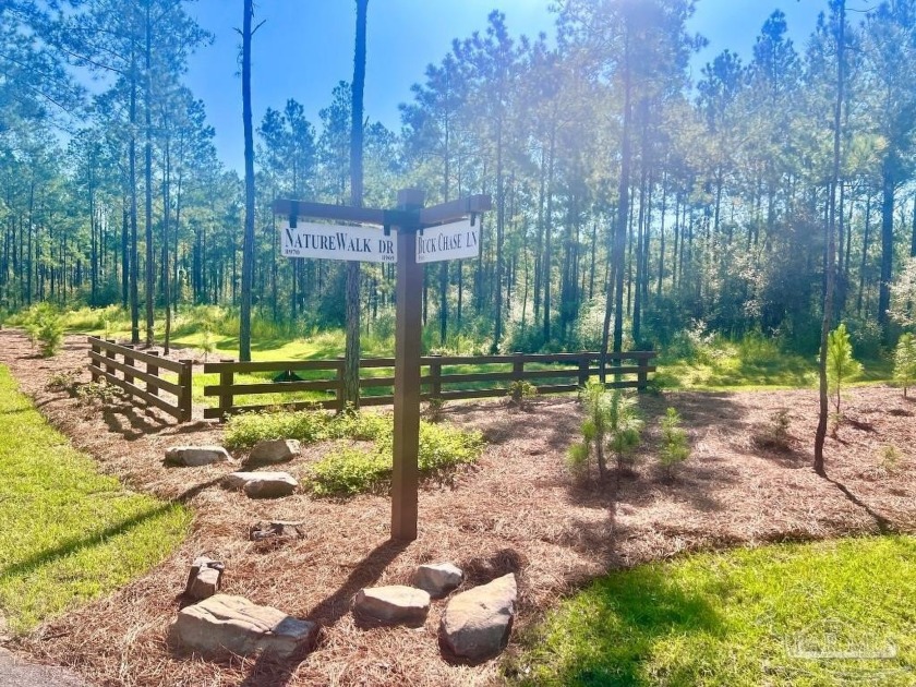 Discover the beauty of NatureWalk at Pond Creek. Lot 41 is a - Beach Acreage for sale in Pace, Florida on Beachhouse.com
