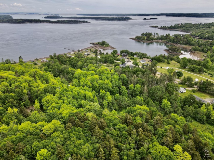ATTENTION DEVELOPERS! Rare opportunity to own a large parcel - Beach Acreage for sale in Eastport, Maine on Beachhouse.com
