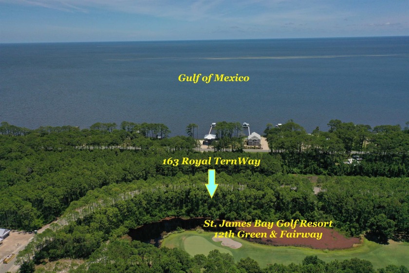 This fabulous homesite in St. James Bay Golf Resort, is perfect - Beach Lot for sale in Carabelle, Florida on Beachhouse.com