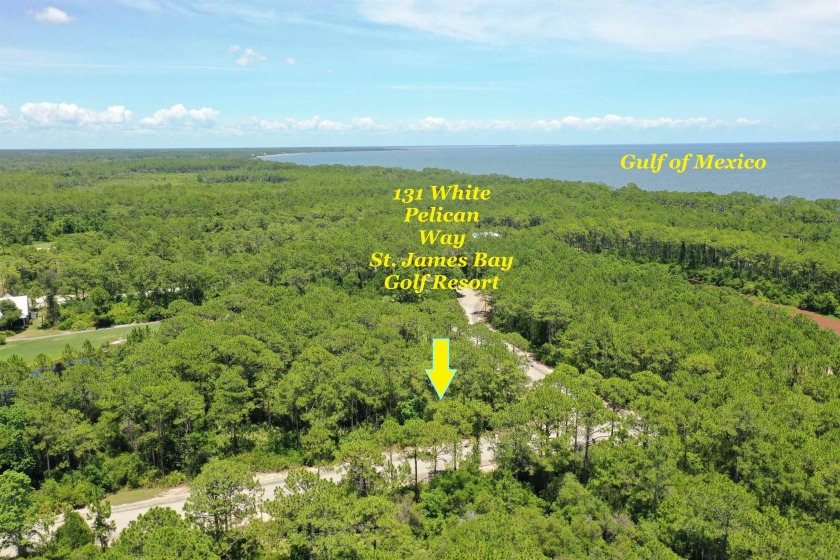 This fabulous affordable homesite in St. James Bay Golf Resort - Beach Lot for sale in Carabelle, Florida on Beachhouse.com