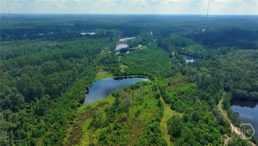 Located along the serene stretch of Fort Argyle Road, this 62 - Beach Acreage for sale in Savannah, Georgia on Beachhouse.com