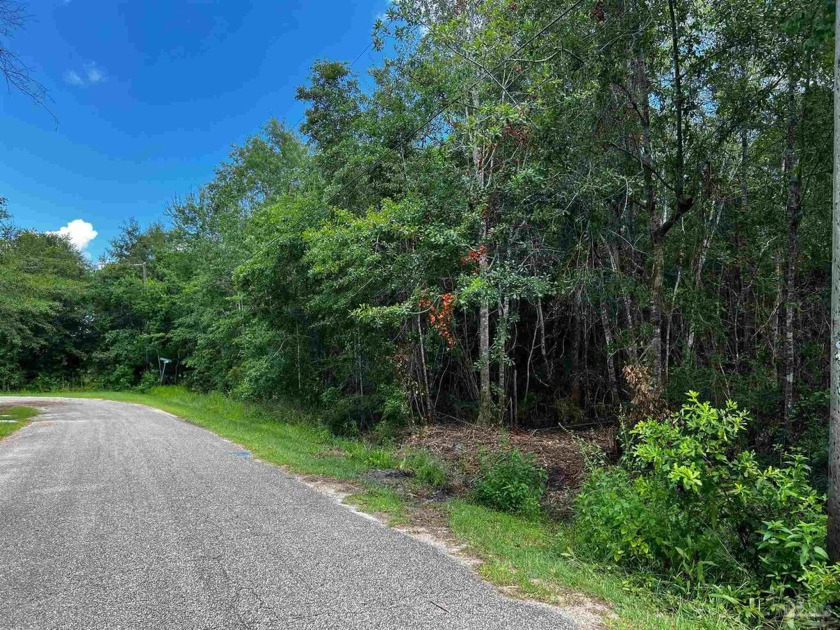 Discover the beauty of this 9.55-acre wooded parcel, no - Beach Acreage for sale in Milton, Florida on Beachhouse.com