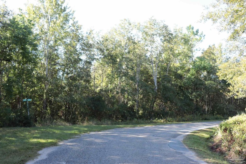 Experience the serenity of this 10.1-acre wooded parcel, no - Beach Acreage for sale in Milton, Florida on Beachhouse.com