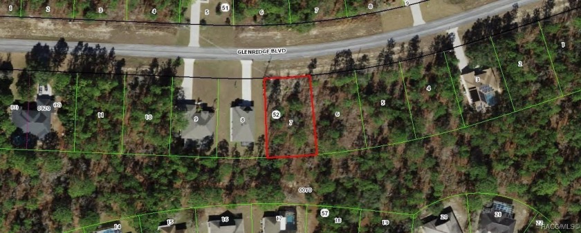 Nice .31 acre boulevard lot with a very deep greenbelt. Nicely - Beach Lot for sale in Homosassa, Florida on Beachhouse.com
