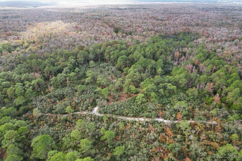 Explore the Untamed Beauty and Opportunity of Florida's Nature - Beach Acreage for sale in Homosassa, Florida on Beachhouse.com