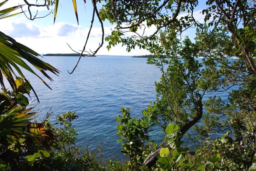 This virgin treed tranquil Estate located North of the Iconic - Beach Lot for sale in Abaco,  on Beachhouse.com