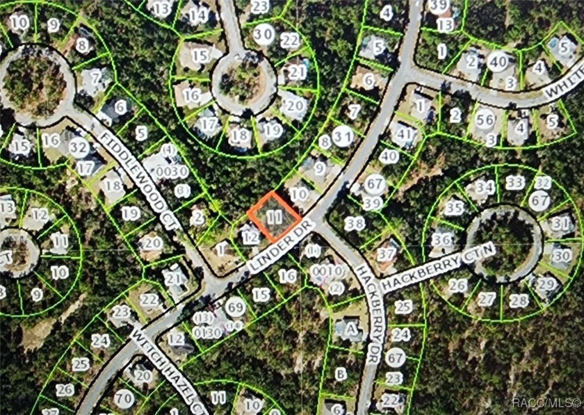 Beautiful, buildable lot, high and dry in deed restricted - Beach Lot for sale in Homosassa, Florida on Beachhouse.com