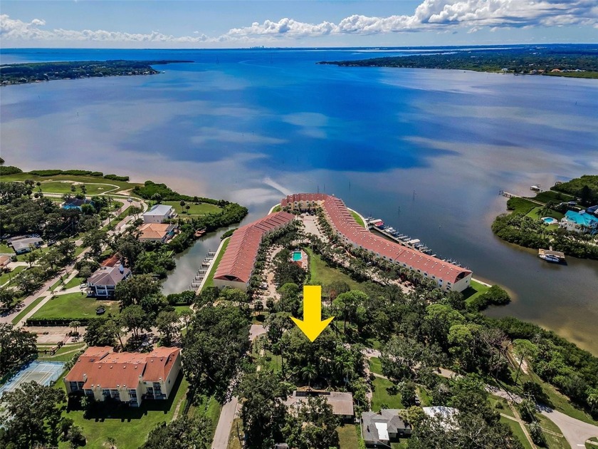 Auction Property. AUCTION! Sold free and clear of all liens - Beach Home for sale in Oldsmar, Florida on Beachhouse.com