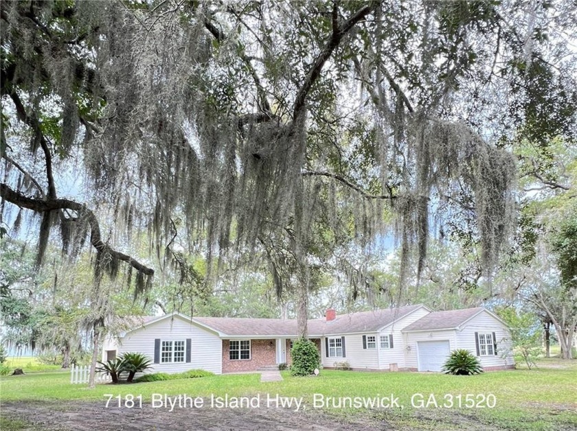 RARE OPPORTUNITY!! COMPLETE PRIVACY!! Situated just 20 to 25 - Beach Home for sale in Brunswick, Georgia on Beachhouse.com