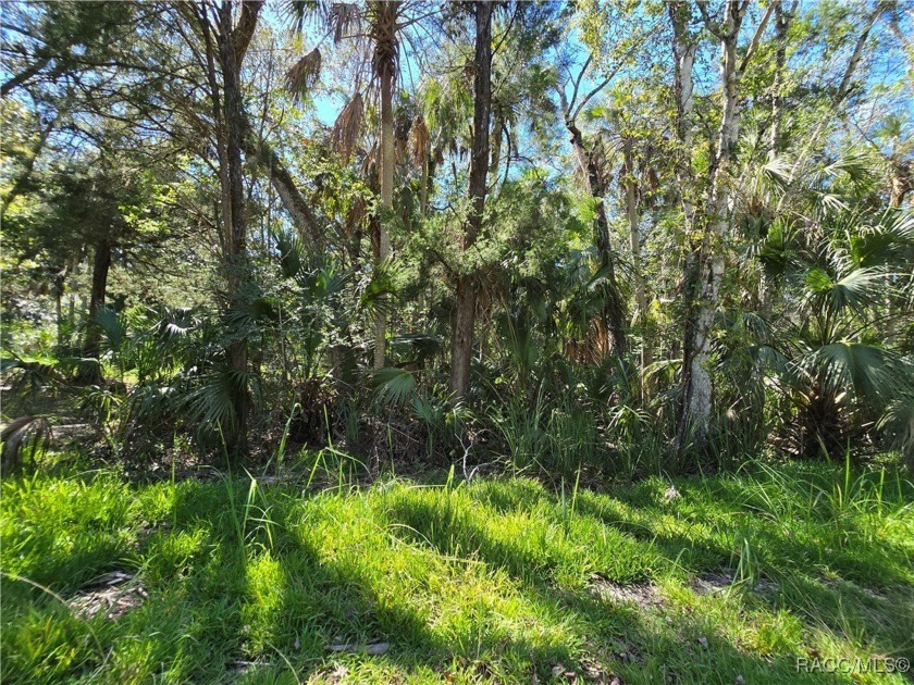 Who wouldn't love to live in Old Homosassa, just around the - Beach Lot for sale in Homosassa, Florida on Beachhouse.com
