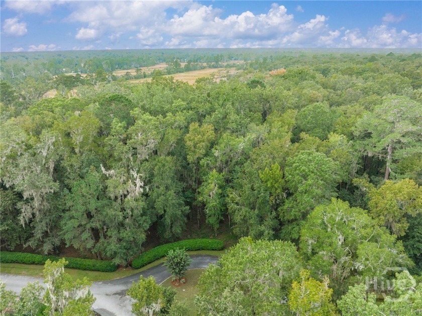 Embrace the pinnacle of Lowcountry luxury at The Ford Field & - Beach Acreage for sale in Richmond Hill, Georgia on Beachhouse.com