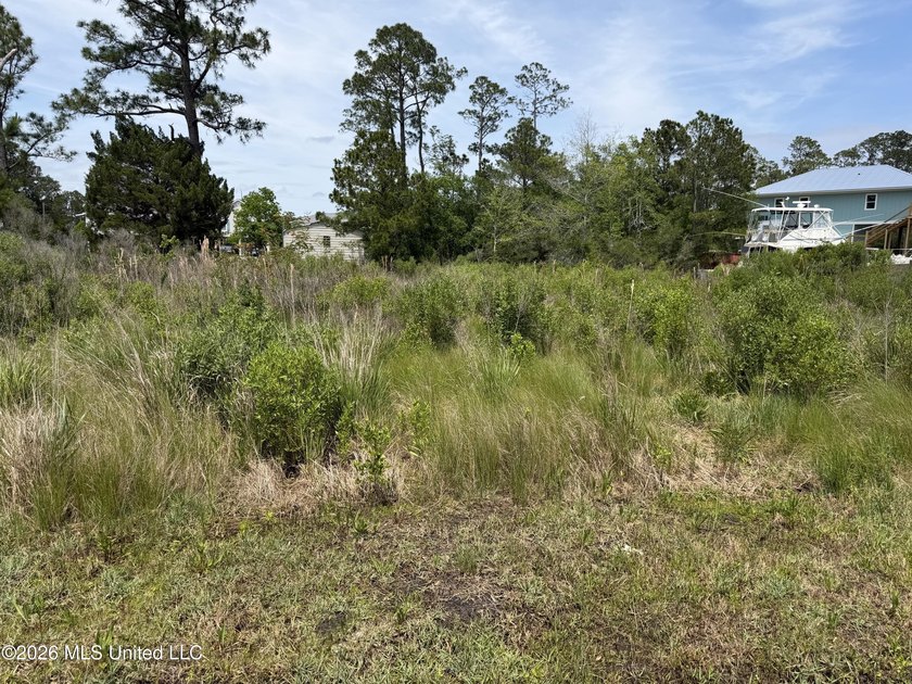 100* of water frontage! This double lot is just a stone's throw - Beach Lot for sale in Bay Saint Louis, Mississippi on Beachhouse.com