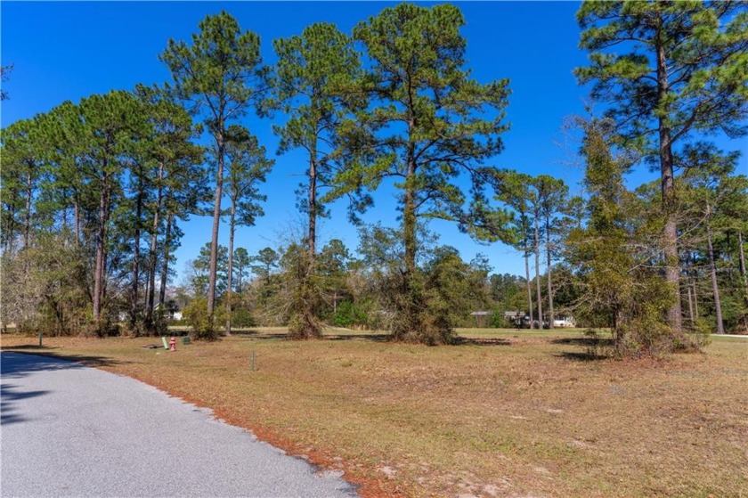 Beautiful lot sits nestled on the Sapelo Hammock golf course in - Beach Lot for sale in Townsend, Georgia on Beachhouse.com