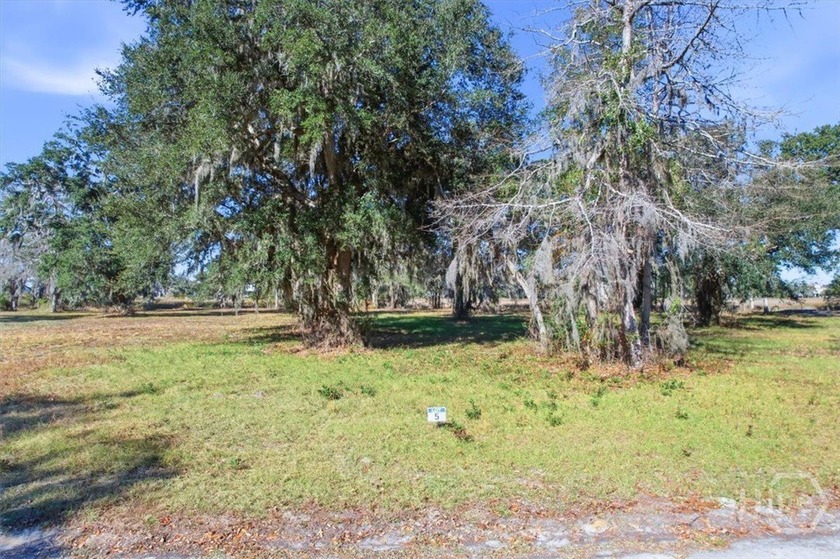 1.52 acre marsh front lot with magnificent views! Nestled in - Beach Lot for sale in Midway, Georgia on Beachhouse.com