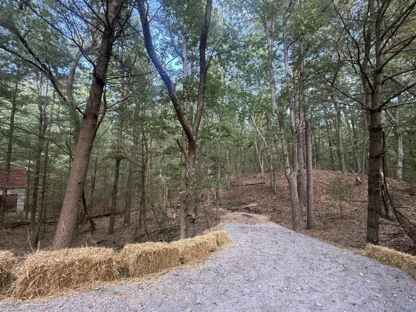 Enjoy easy access to the natural beauty of Bass Lake, the sandy - Beach Lot for sale in Pentwater, Michigan on Beachhouse.com