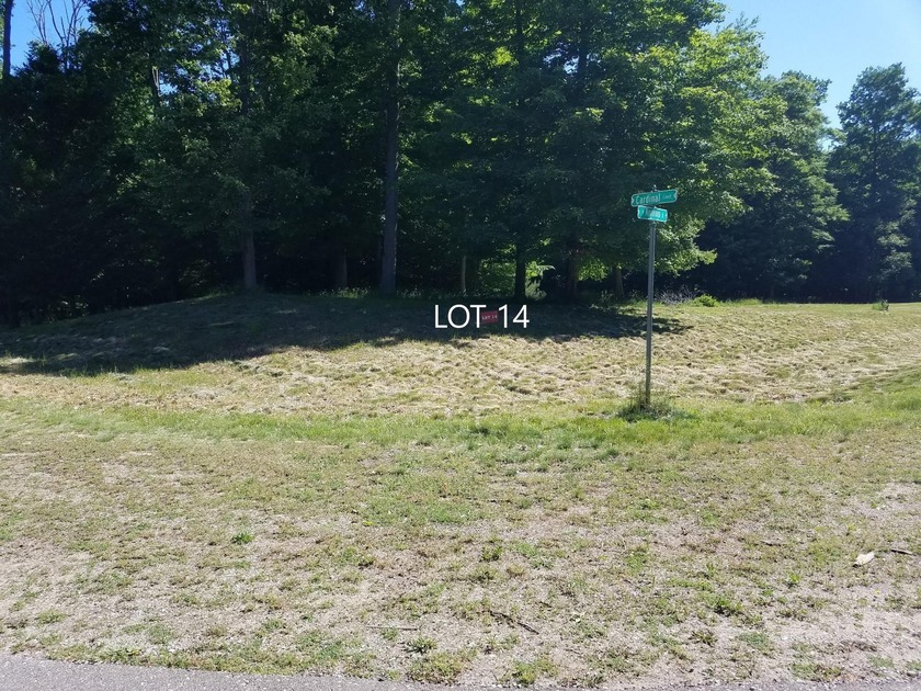Looking for the perfect site to build your once in a lifetime - Beach Lot for sale in Ludington, Michigan on Beachhouse.com