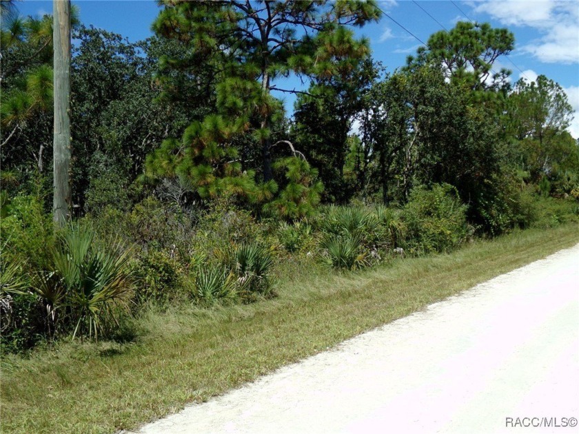 Beautifully wooded lot in the Royal Highlands Subdivision, a - Beach Lot for sale in Weeki Wachee, Florida on Beachhouse.com
