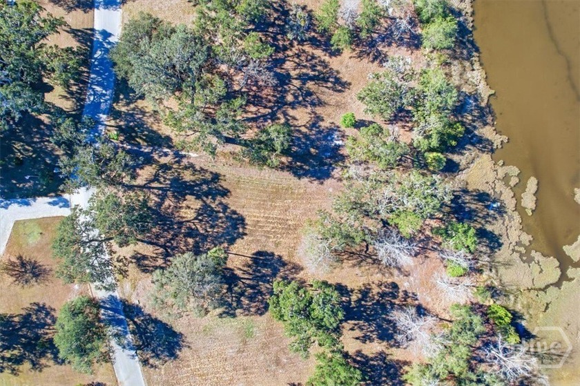 Coastal Living at its finest with marsh views on a .67 marsh - Beach Lot for sale in Midway, Georgia on Beachhouse.com