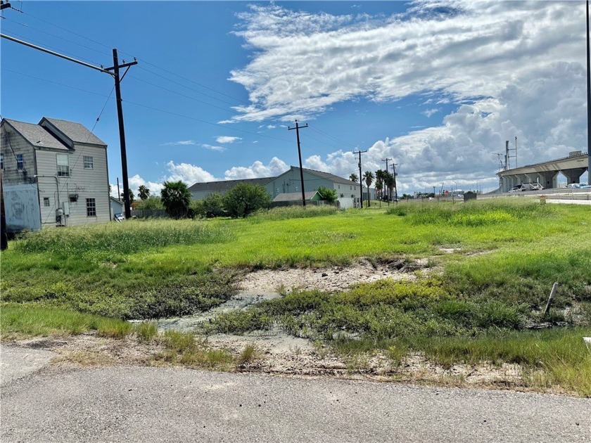 LOOKING FOR A LOT THAT IS READY FOR YOU TO BUILD ON WHETHER A - Beach Lot for sale in Corpus Christi, Texas on Beachhouse.com