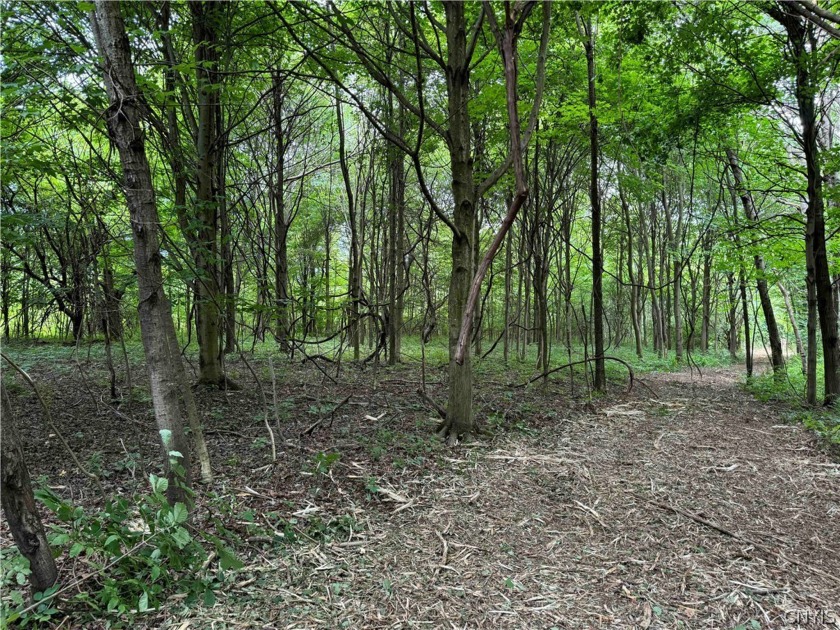 This 15 acres, Lot 1, is a great hunting and recreational - Beach Acreage for sale in Ripley, New York on Beachhouse.com