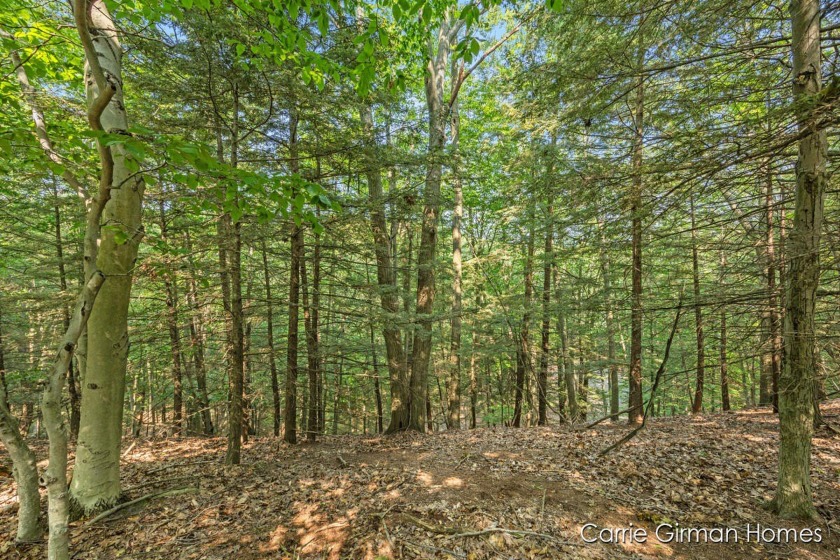 Enjoy Lake Michigan beach access from this beautiful wooded lot - Beach Lot for sale in Grand Haven, Michigan on Beachhouse.com