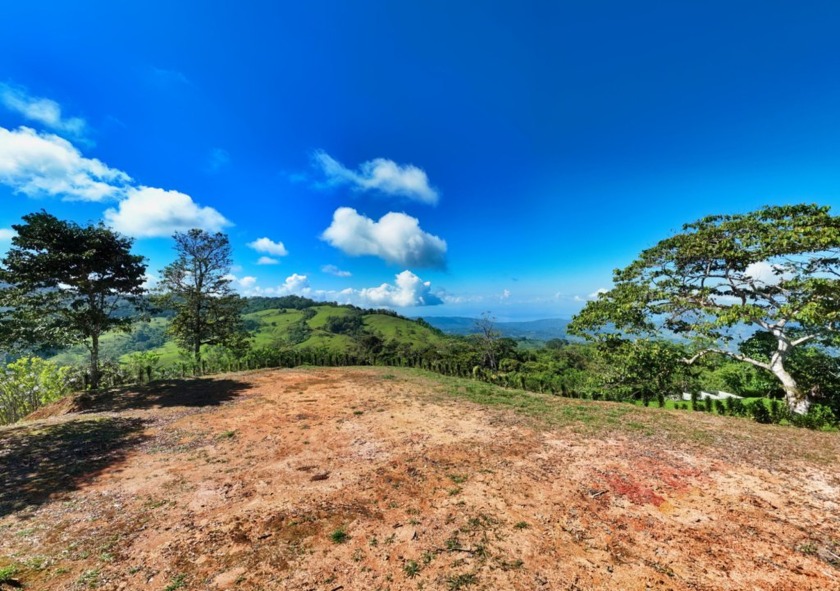 Your Dream Finca near Alto San Juan

Welcome to your personal - Beach Commercial for sale in Alto San Juan,  on Beachhouse.com