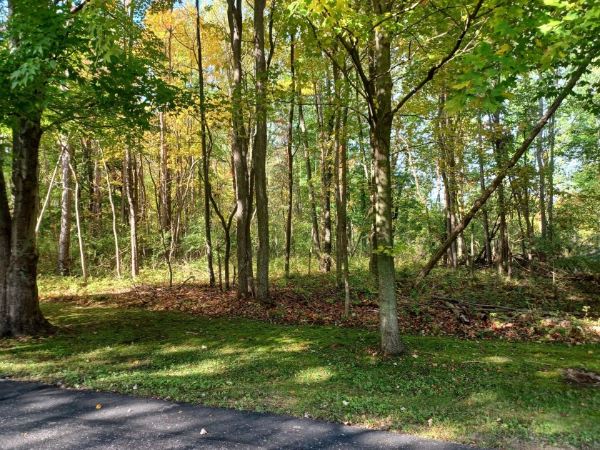 BEAUTIFUL WOODED PARCEL 3 BLOCKS FROM LAKE MICHIGAN. THIS - Beach Lot for sale in South Haven, Michigan on Beachhouse.com