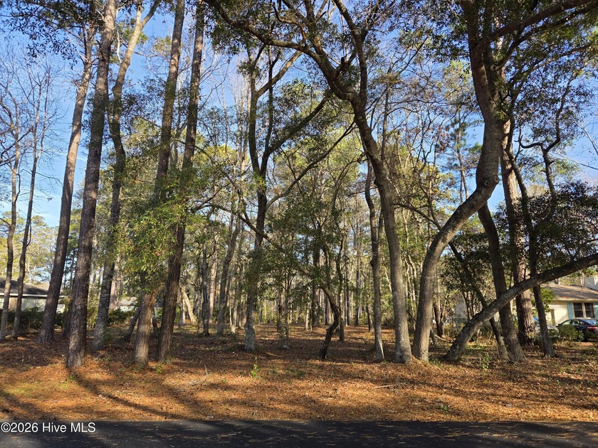 Wonderful .35 Acre homesite in popular Carolina Shores. Low POA - Beach Lot for sale in Carolina Shores, North Carolina on Beachhouse.com