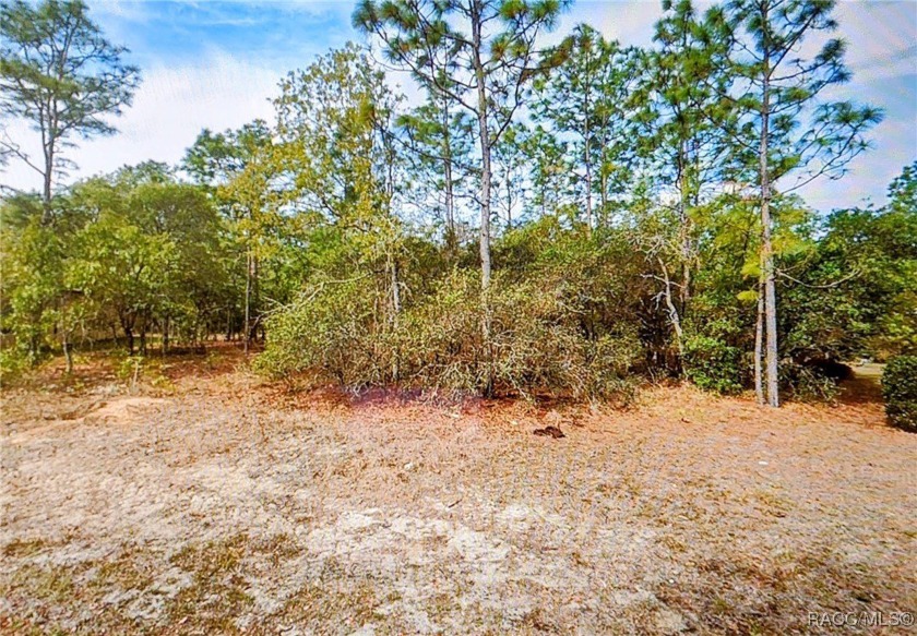 Wooded .28 acre parcel located in a cul-de-sac in Sugarmill - Beach Lot for sale in Homosassa, Florida on Beachhouse.com