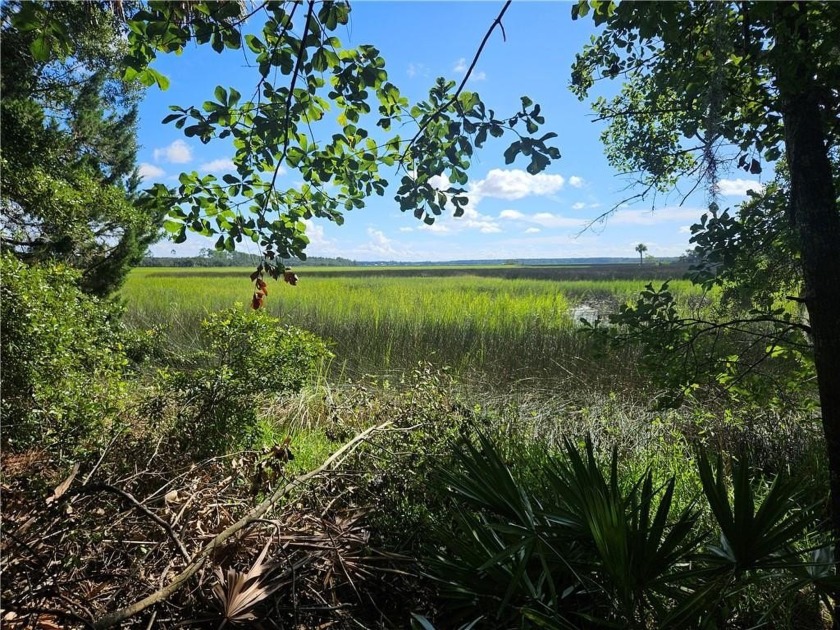 Beautiful .57 Acre lot with stunning views. Located in an - Beach Lot for sale in Brunswick, Georgia on Beachhouse.com