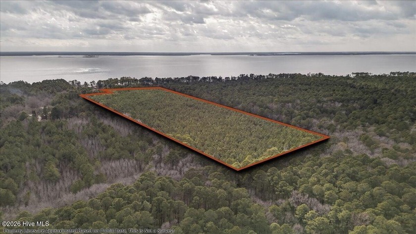 Discover the possibilities with this 31.22+/--acre wooded tract - Beach Acreage for sale in Belhaven, North Carolina on Beachhouse.com
