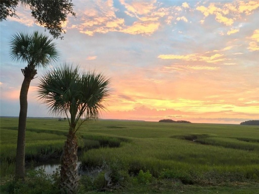 FLY-IN to the Coastal Eagle Neck community with its own runway - Beach Lot for sale in Townsend, Georgia on Beachhouse.com