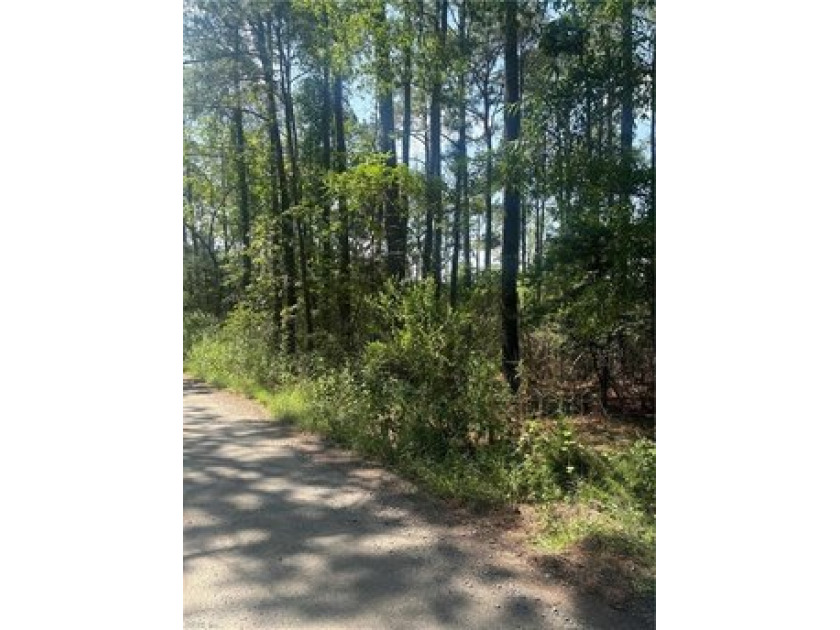 Beautiful location to build your dream home. 14.61 acres that - Beach Acreage for sale in Hampton, Virginia on Beachhouse.com